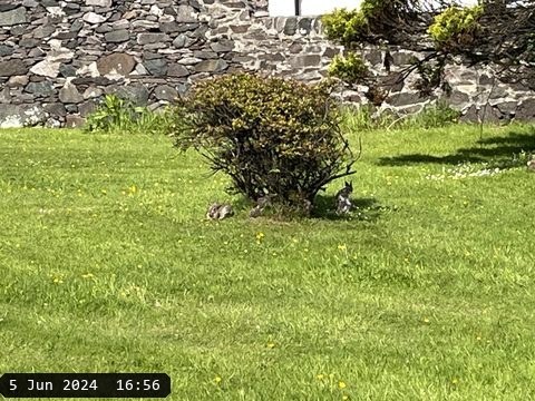 2024-06-05 11-56-01.heic